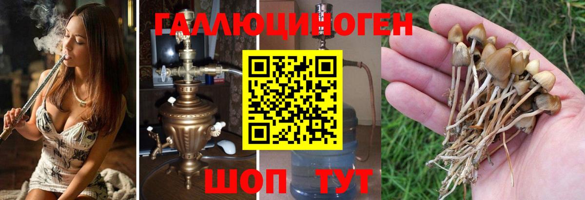 Галлюциногенные грибы GOLDEN TEACHER Шали