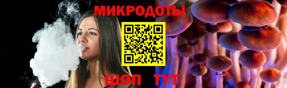 Шали  Галлюциногенные грибы Psilocybine cubensis  Вход с VPN  Псилоцибиновые грибы прущие грибы 